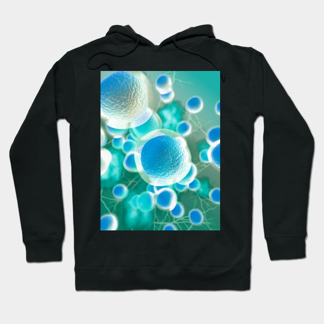 Stem cells, illustration (C029/2566) Hoodie by SciencePhoto